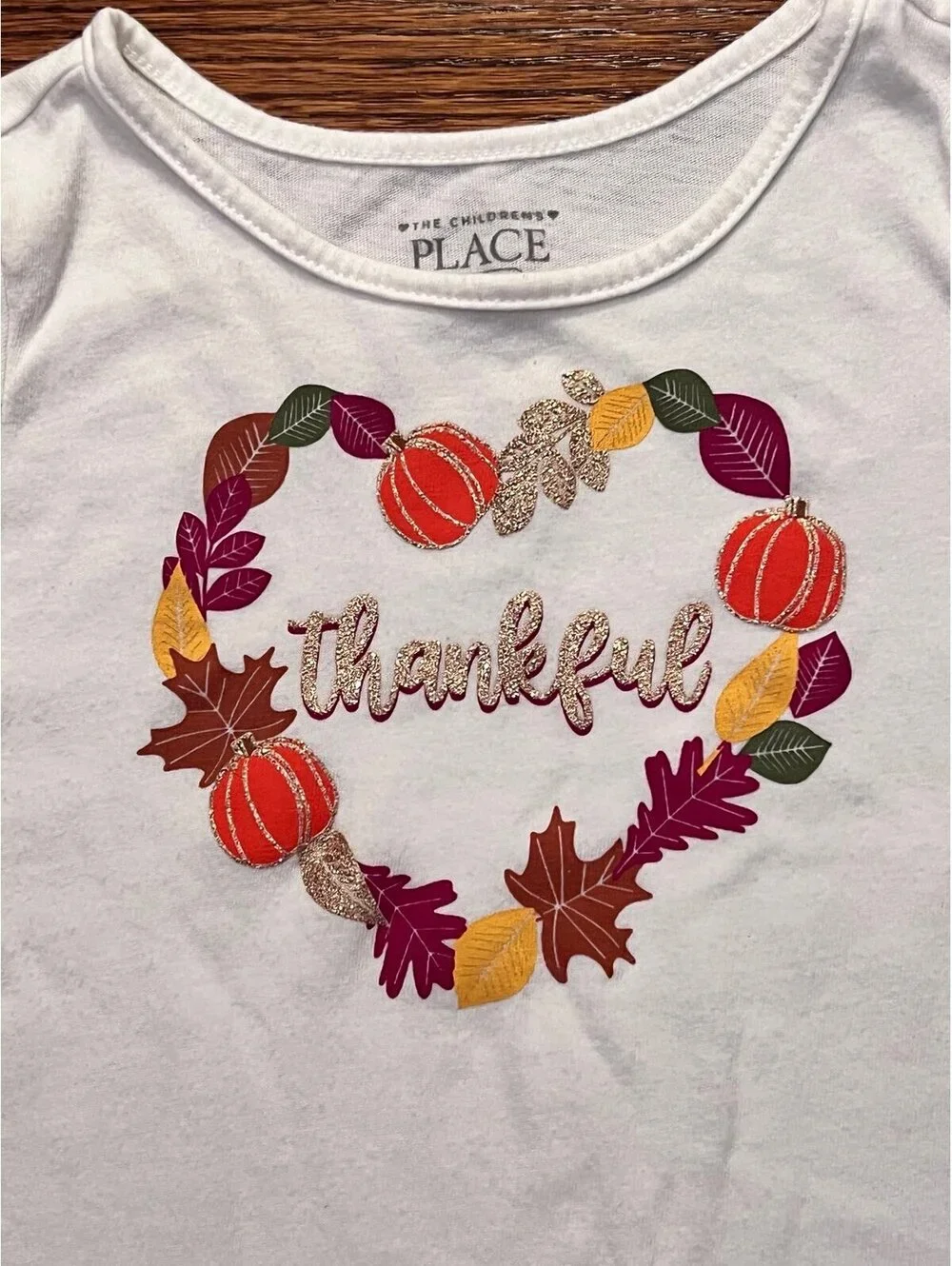 The Childrens Place Girls Long Sleeve Thanksgiving Shirt / Fall Shirt (12-18m)